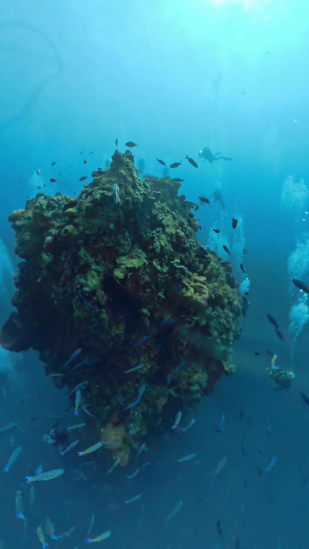 Sea Saba photo 3