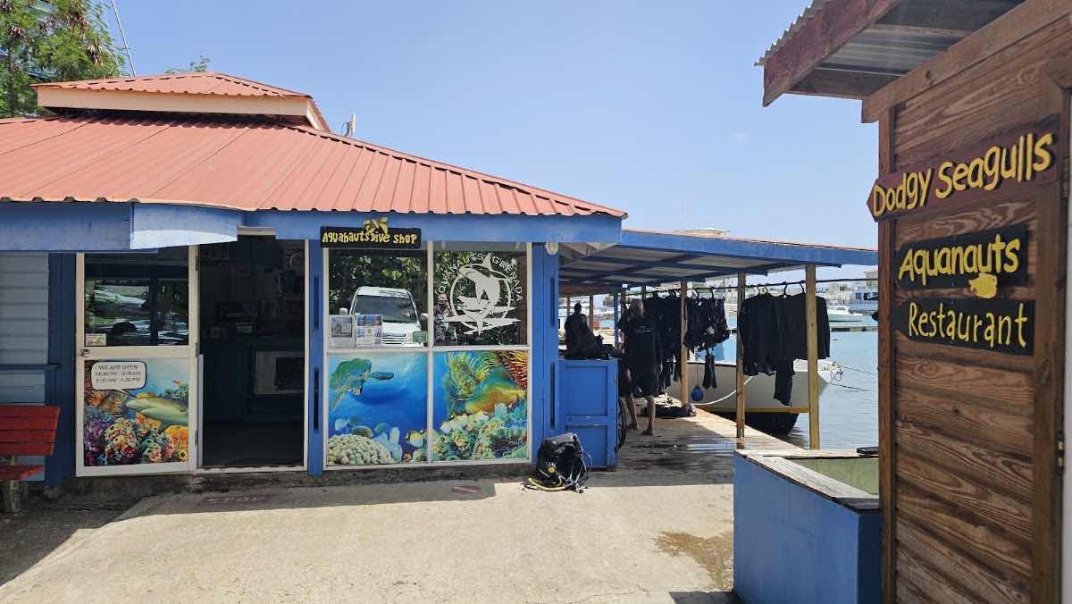 Sea Saba photo 6