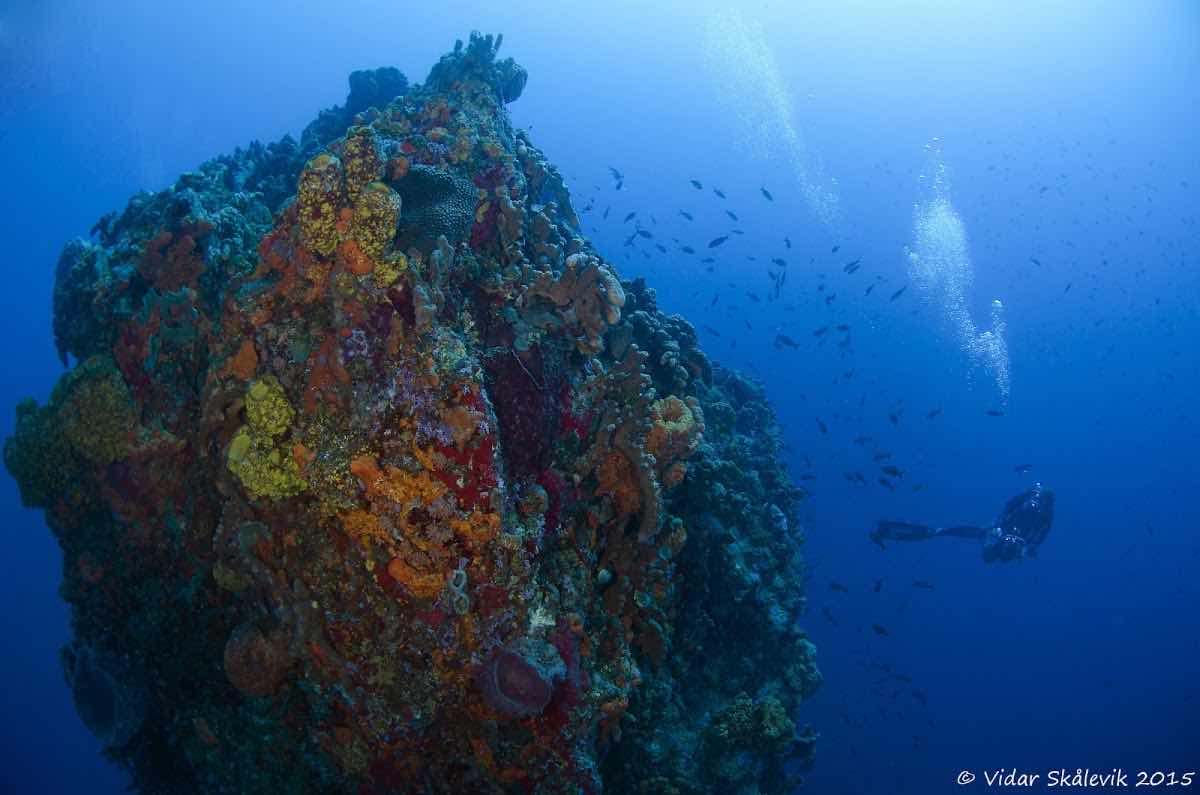 Sea Saba photo 10