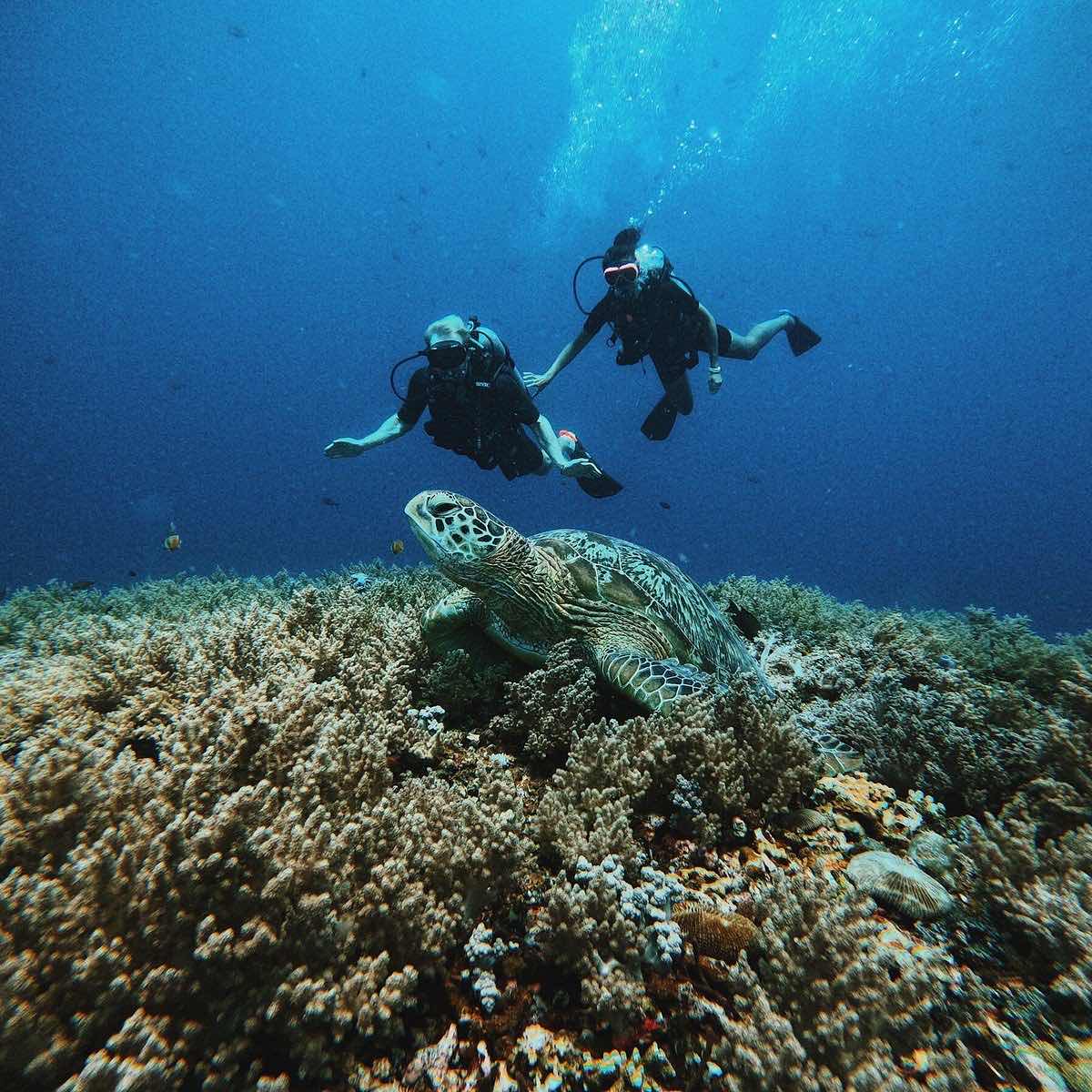 Diving Mirissa Padi Dive Center photo 7