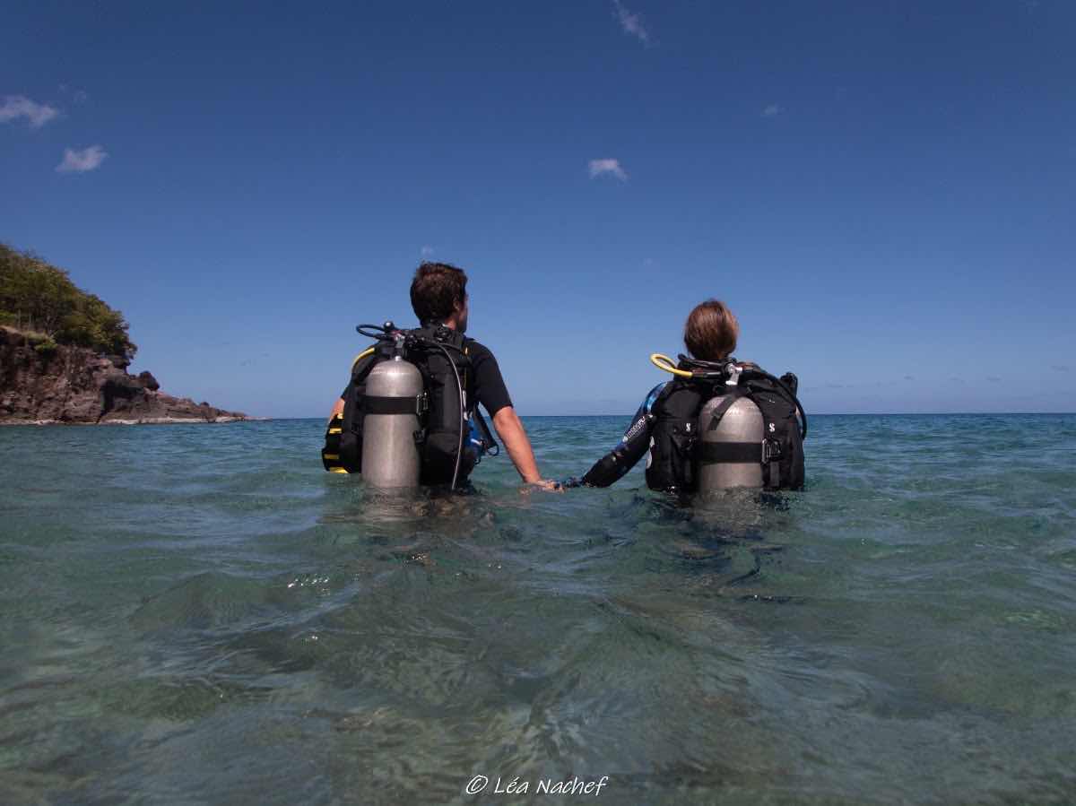 La Dive Bouteille - Plongée Les Saintes photo 6