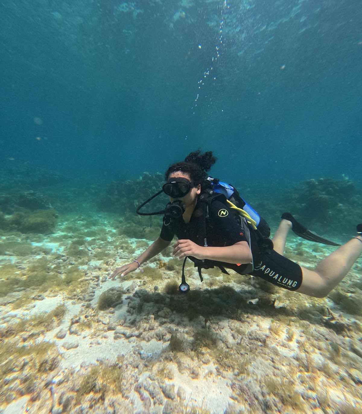 La Dive Bouteille - Plongée Les Saintes photo 10