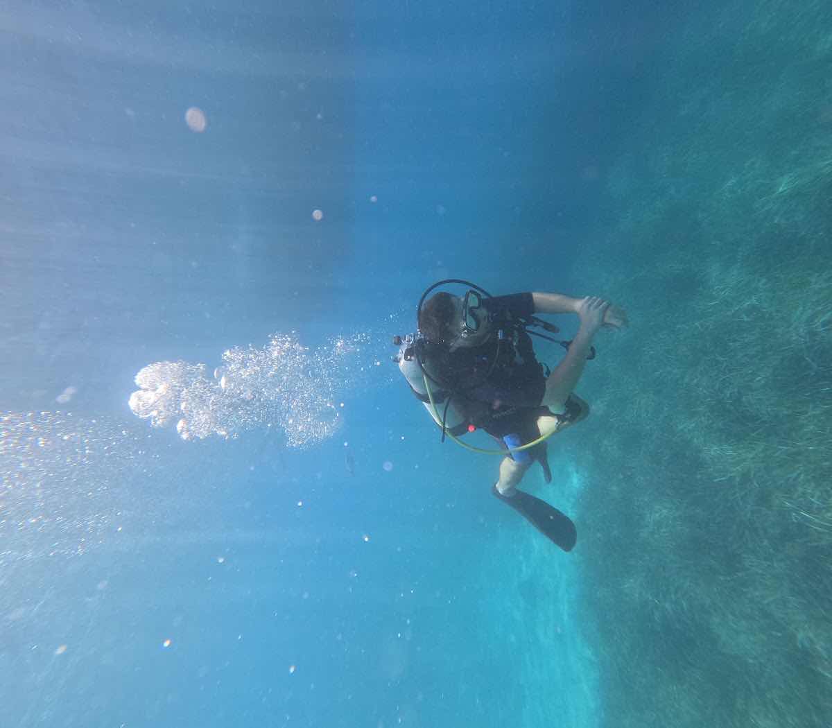 Professional diving Center photo 2
