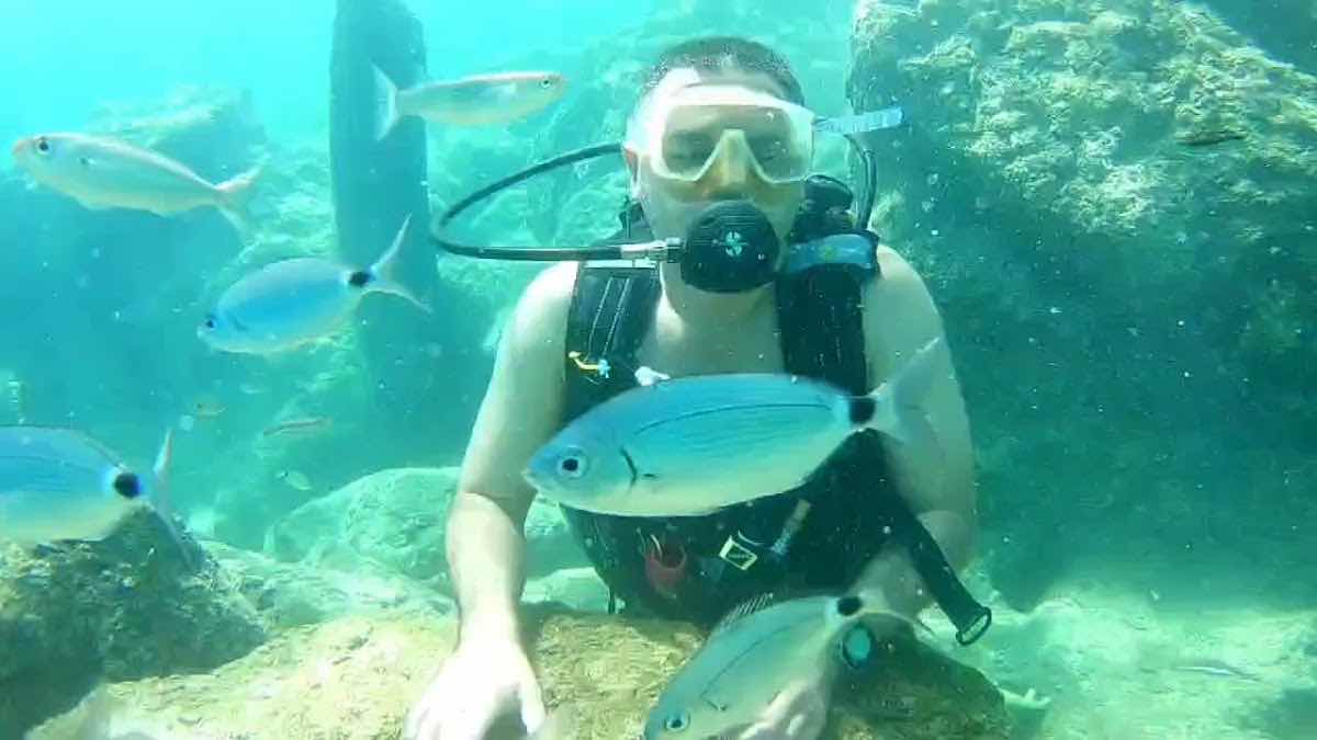 Professional diving Center photo 3
