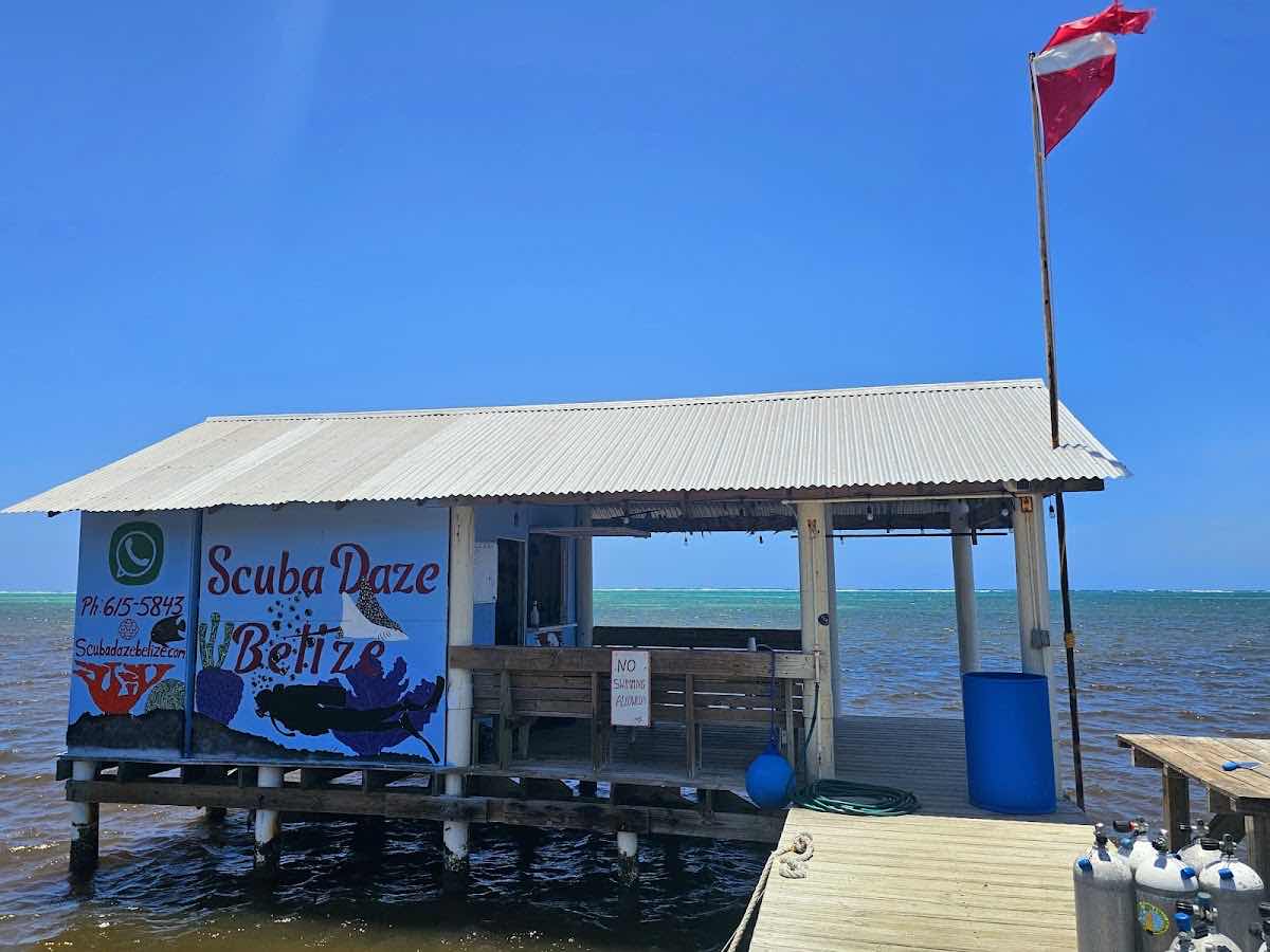 Scuba Daze Belize photo 1
