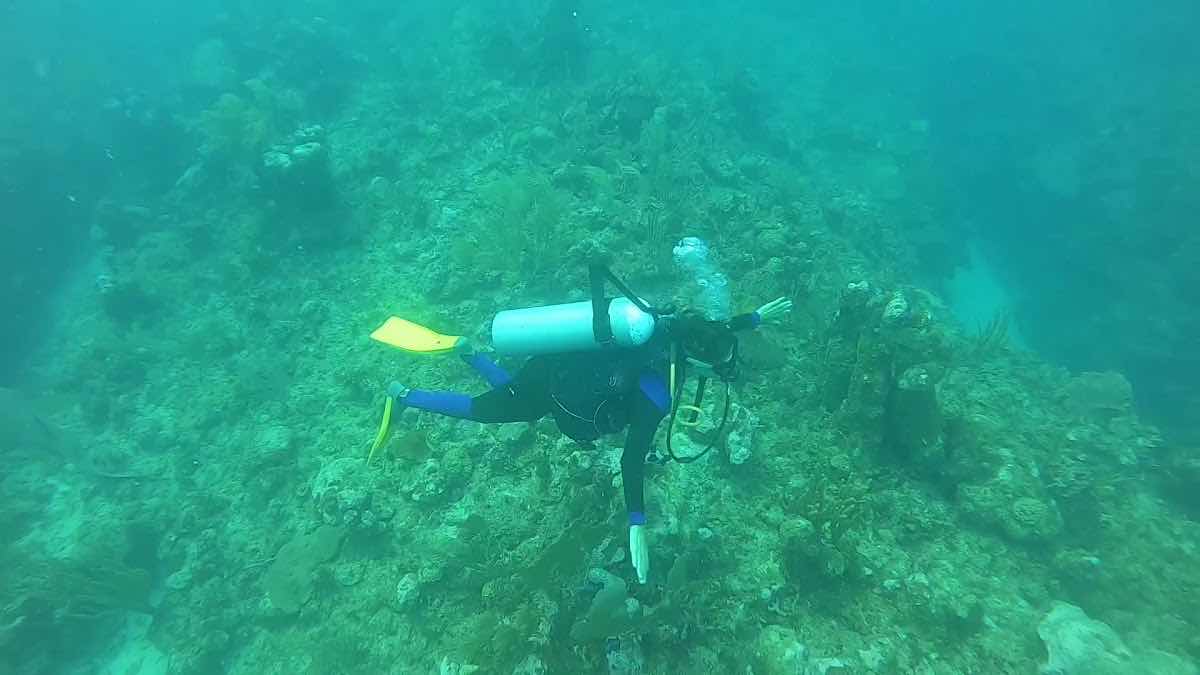 Scuba Daze Belize photo 3