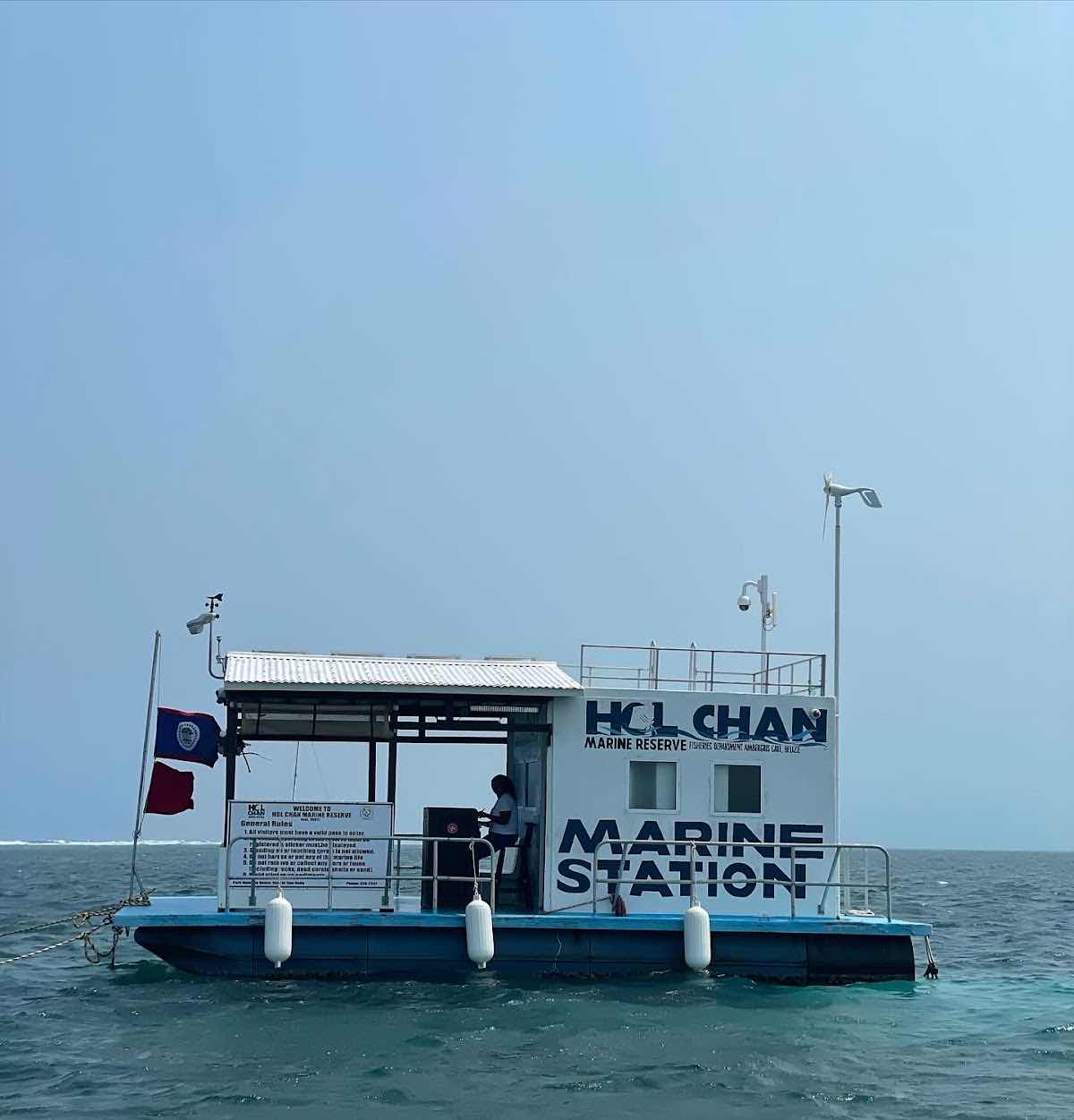 Scuba Daze Belize photo 5