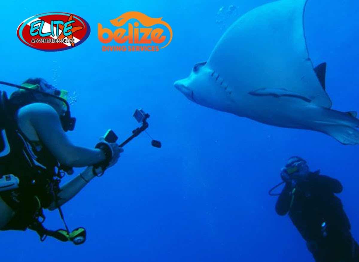 Scuba Daze Belize photo 9