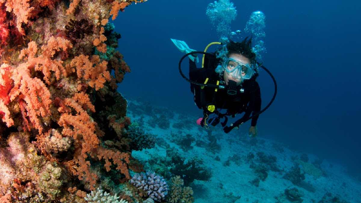 Bigorno Diving Centre Mauritius photo 8