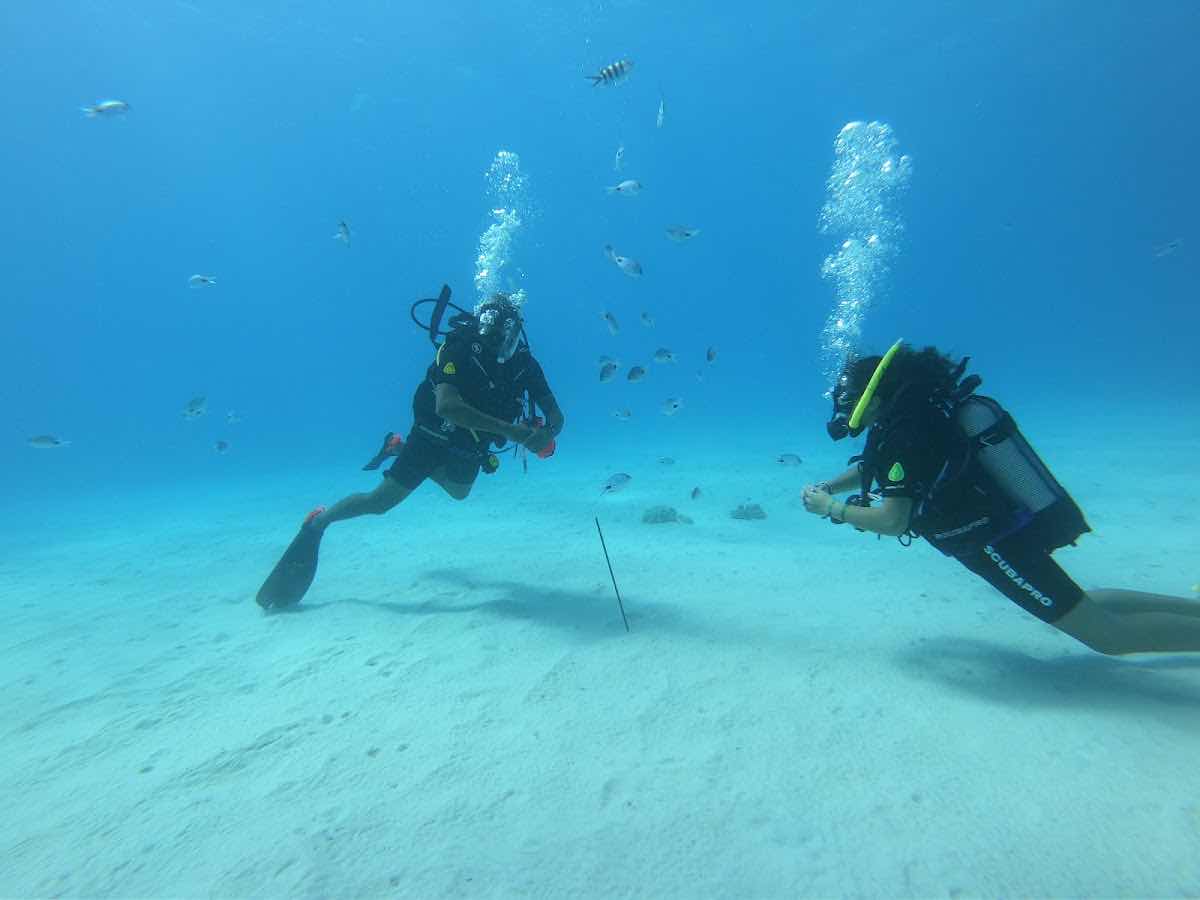 Bigorno Diving Centre Mauritius photo 9