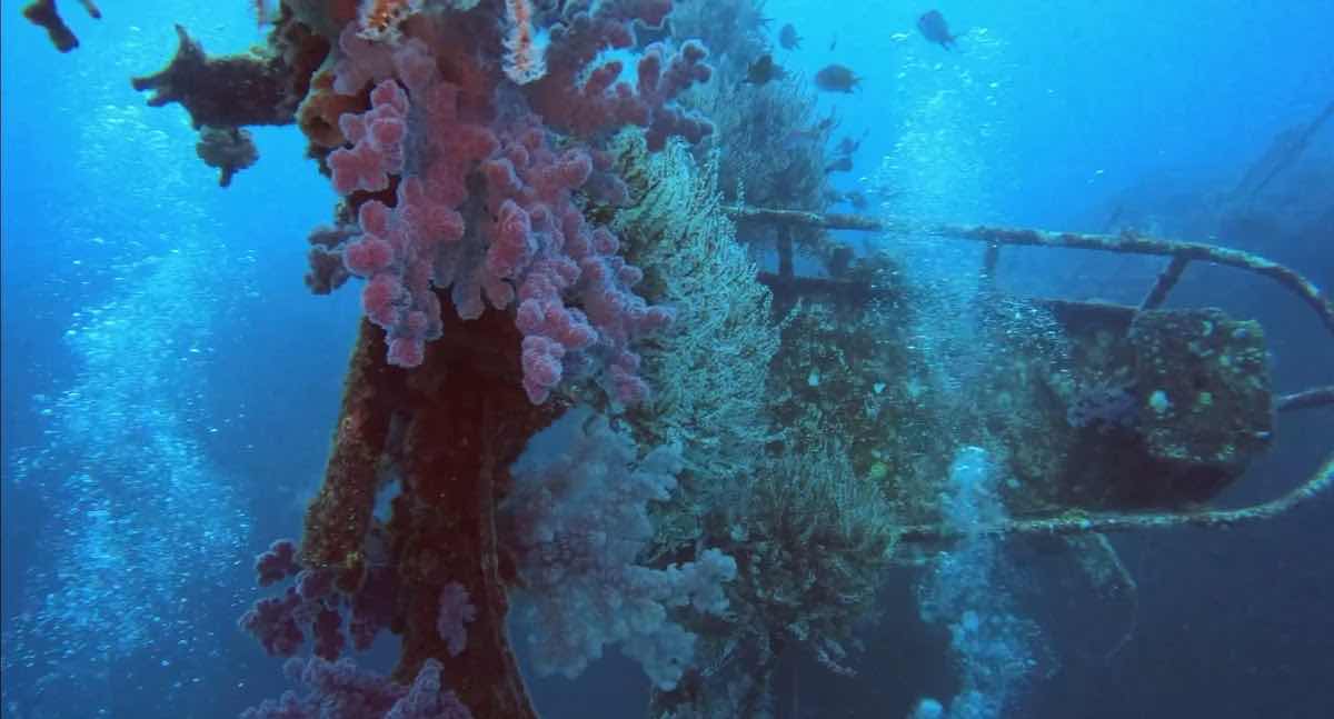 Bigorno Diving Centre Mauritius photo 10