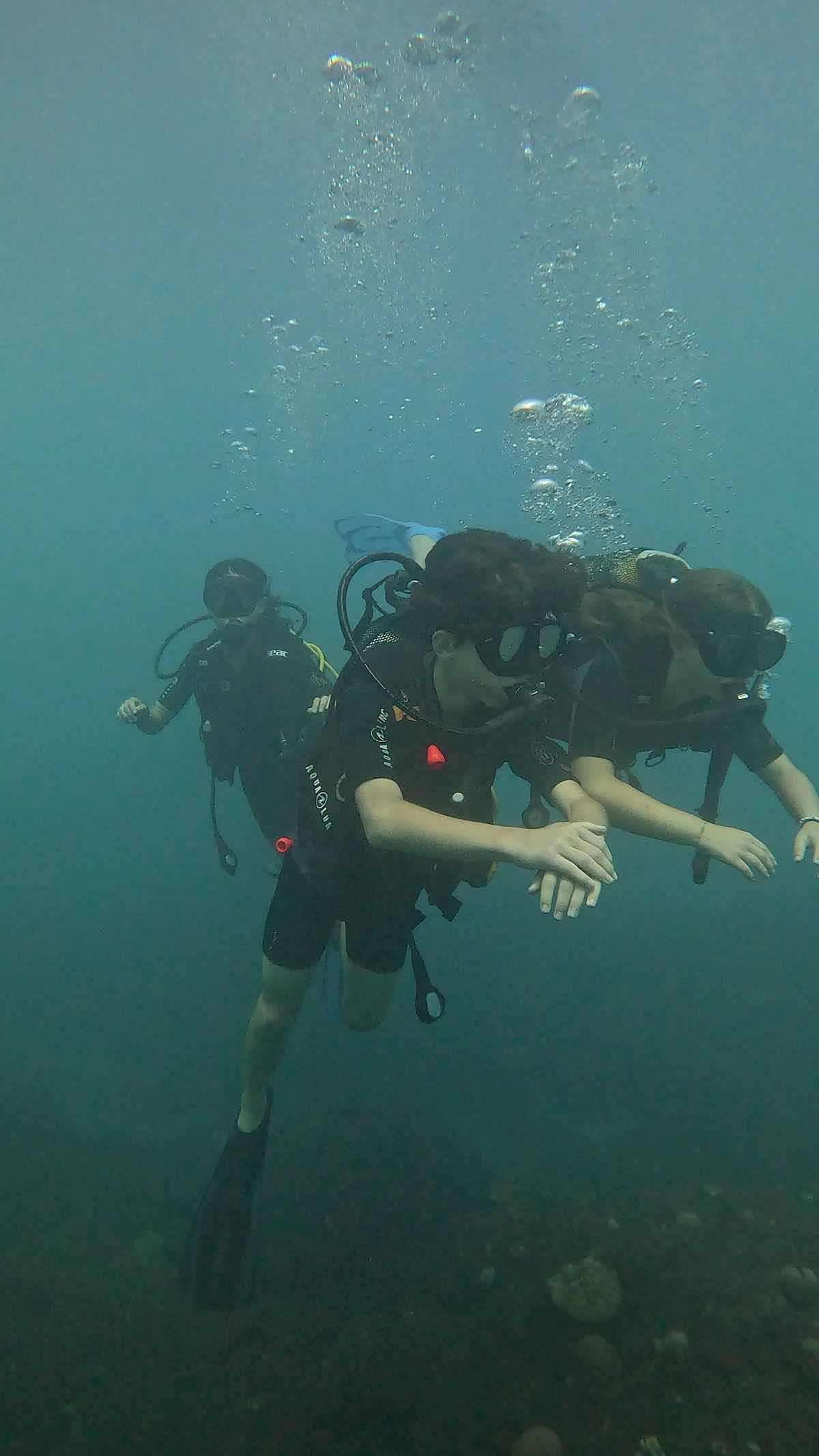 Whale Diving photo 3