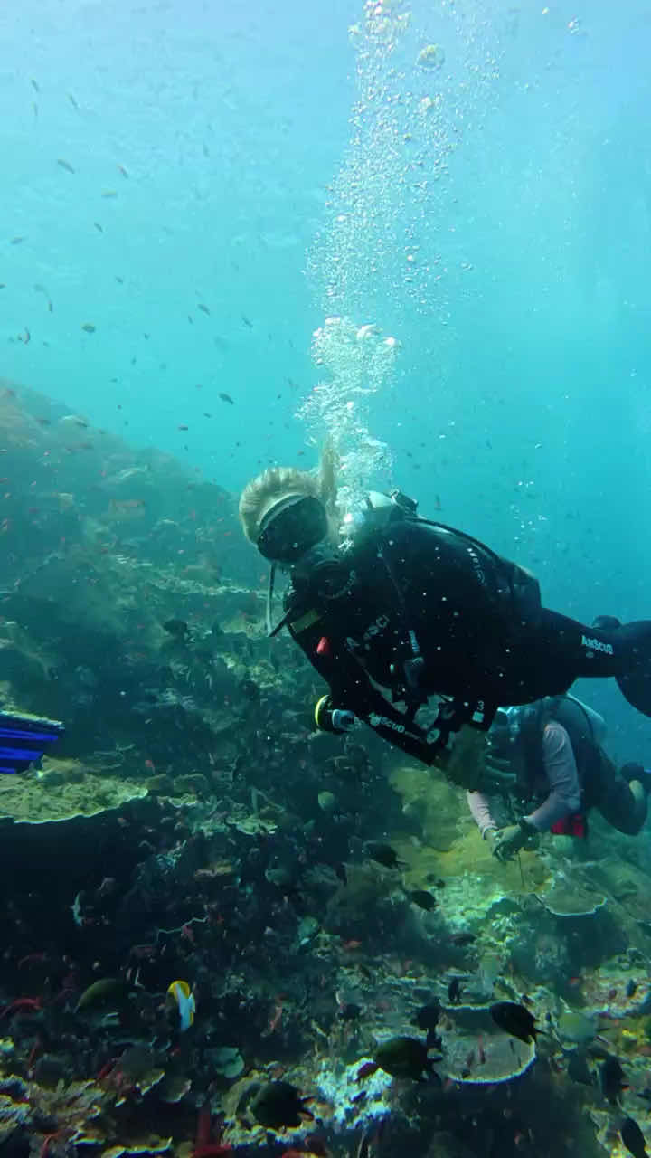 Scuba Go Indonesia - Komodo (Labuan Bajo) photo 3