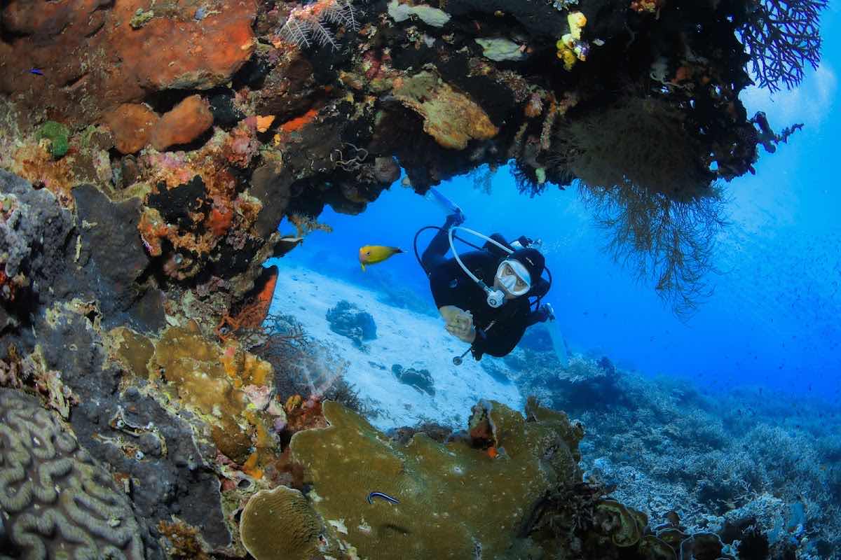 Scuba Go Indonesia - Komodo (Labuan Bajo) photo 5