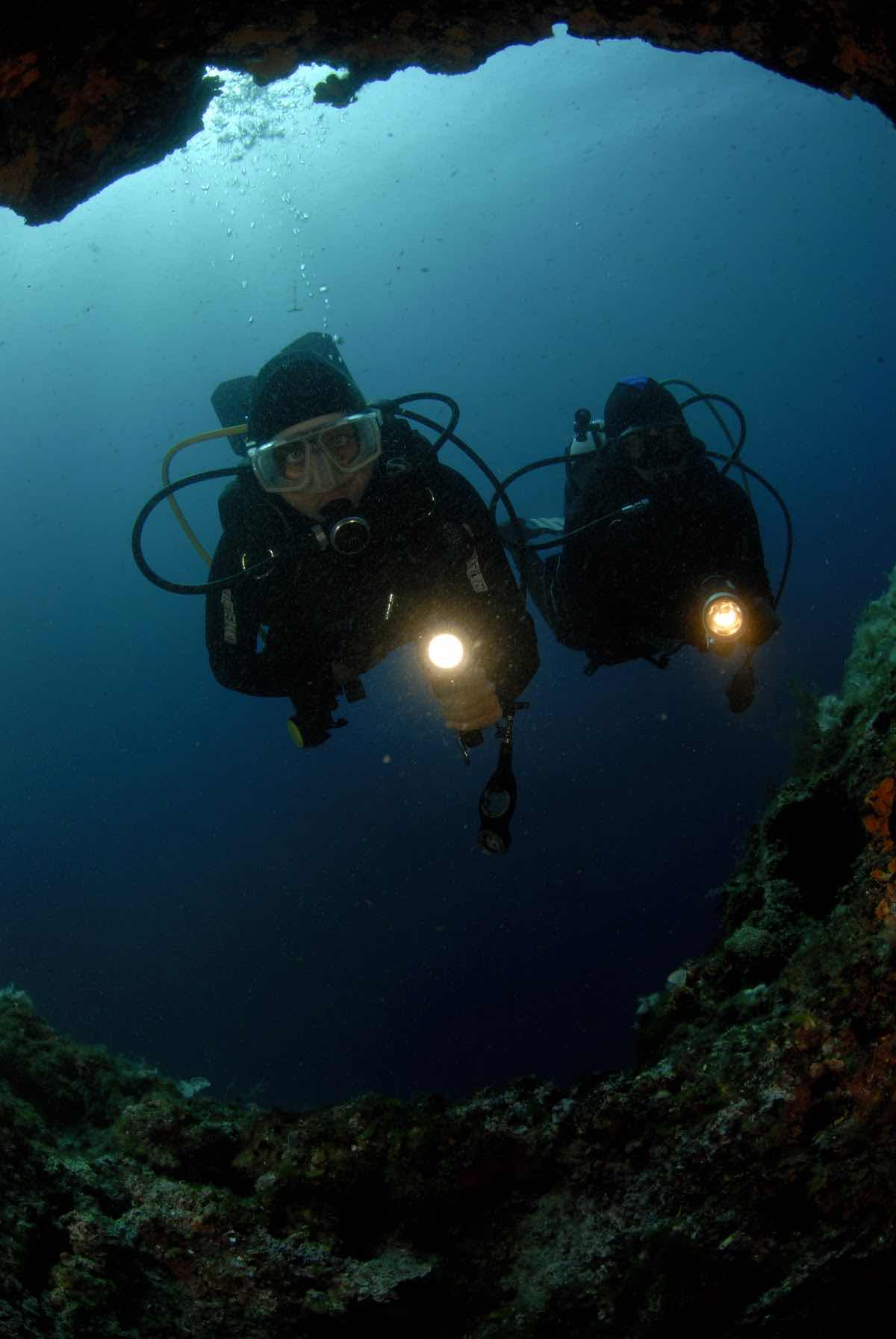 Diving center Dolphin photo 4