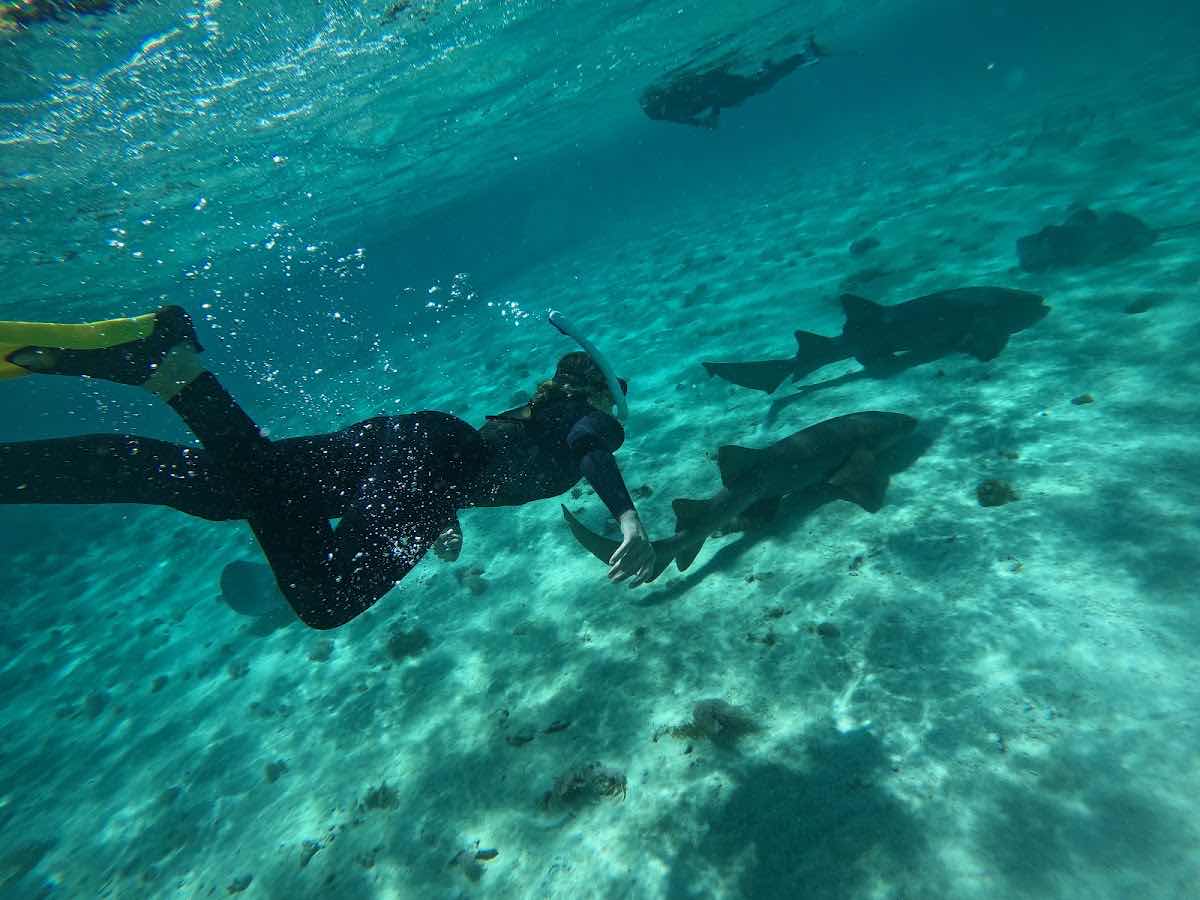 Roatan Ocean Divers photo 5