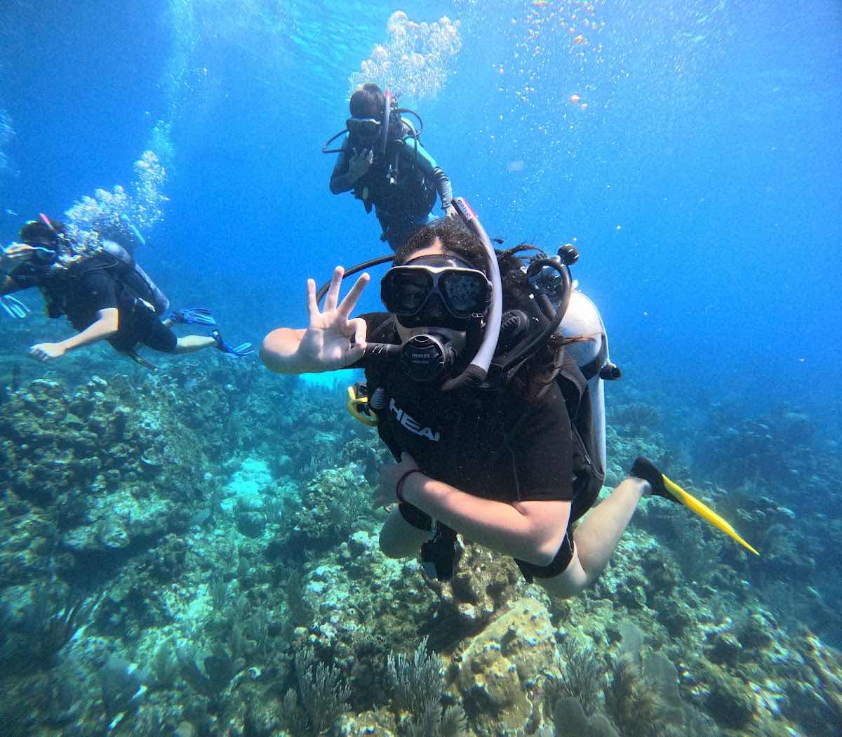 Roatan Ocean Divers photo 6
