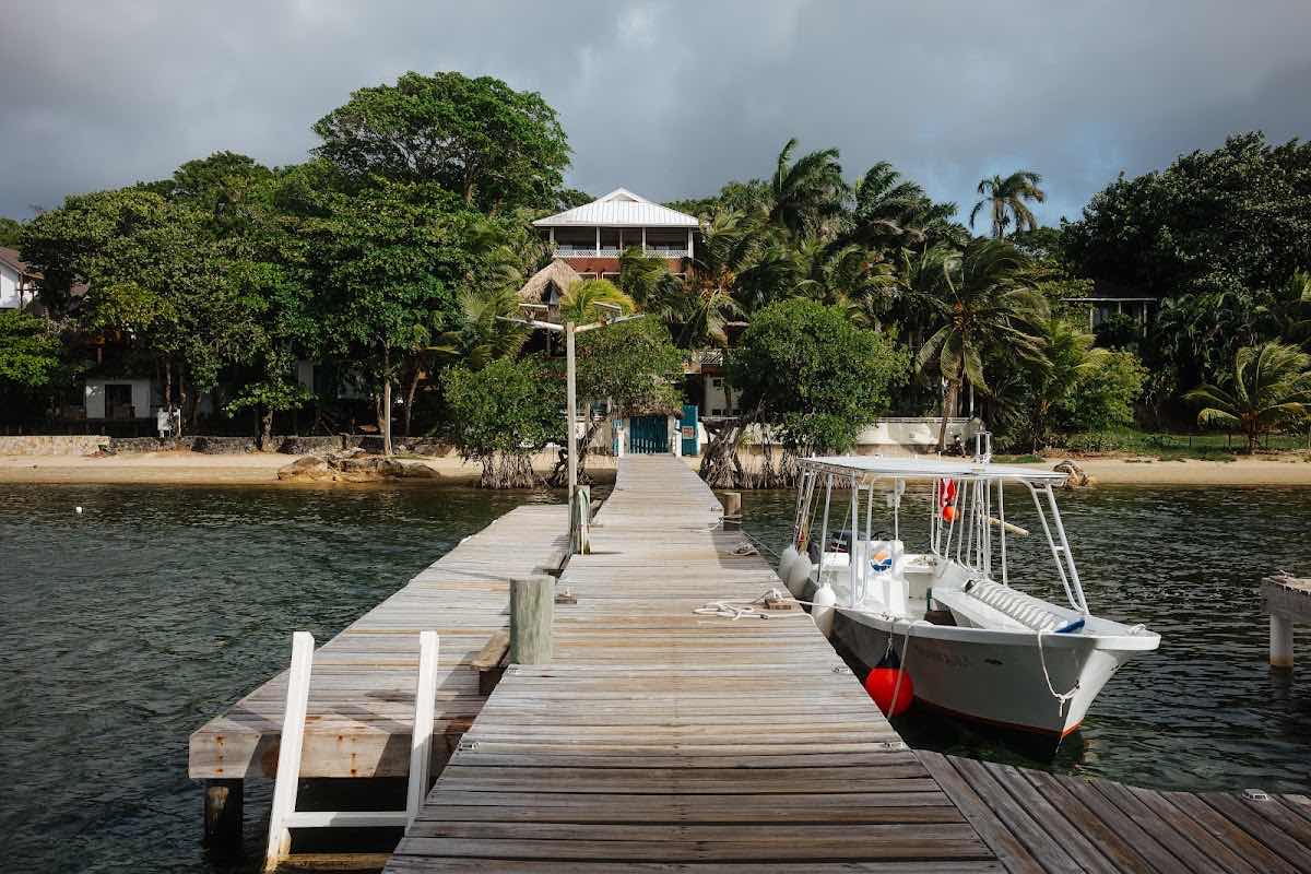 Roatan Ocean Divers photo 8
