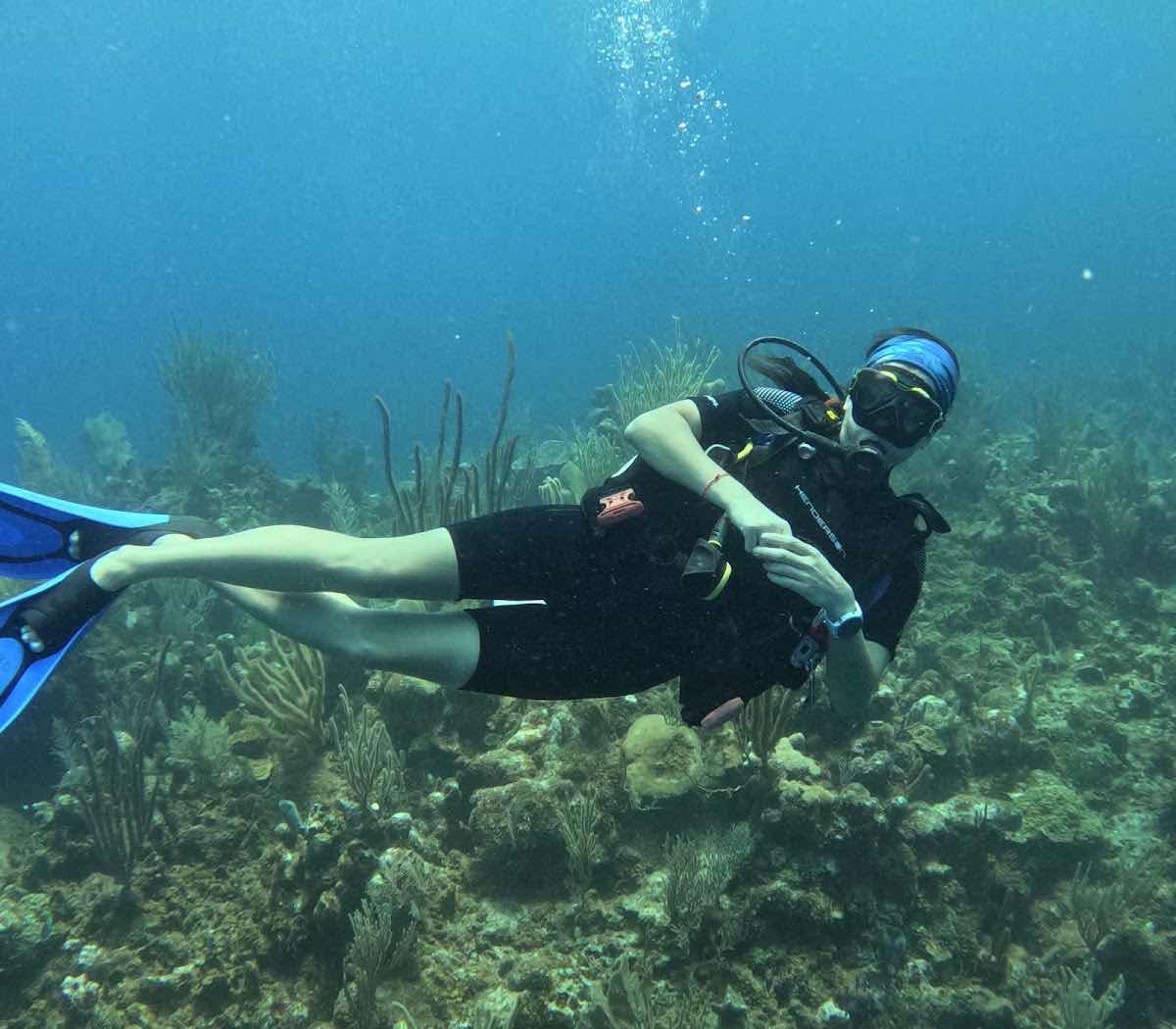 Roatan Ocean Divers photo 9