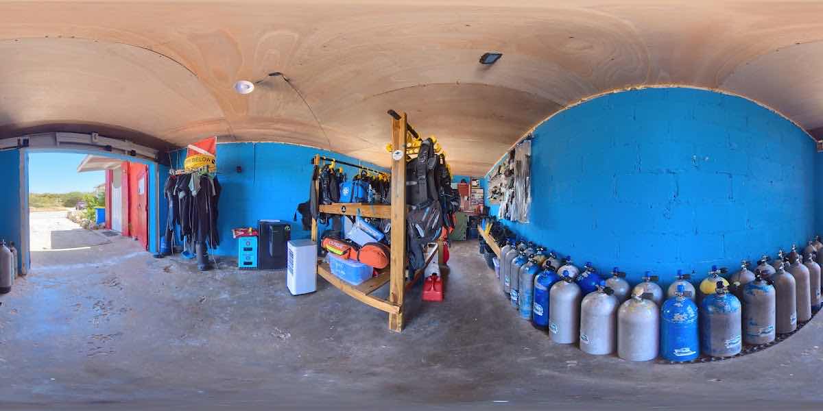 Divers of Poseidon Aruba Diving/Snorkeling/Island Tours/Fishing photo 6