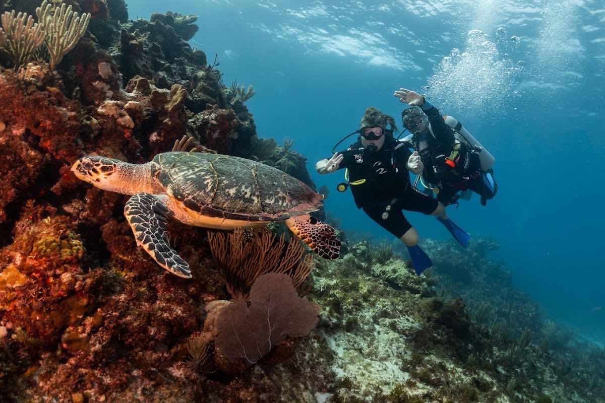 IDC Poc Na Isla Mujeres photo 6