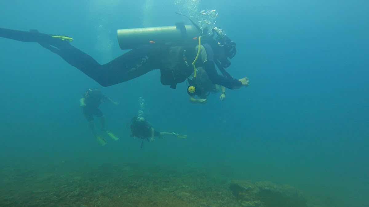 Ombak Divers photo 10