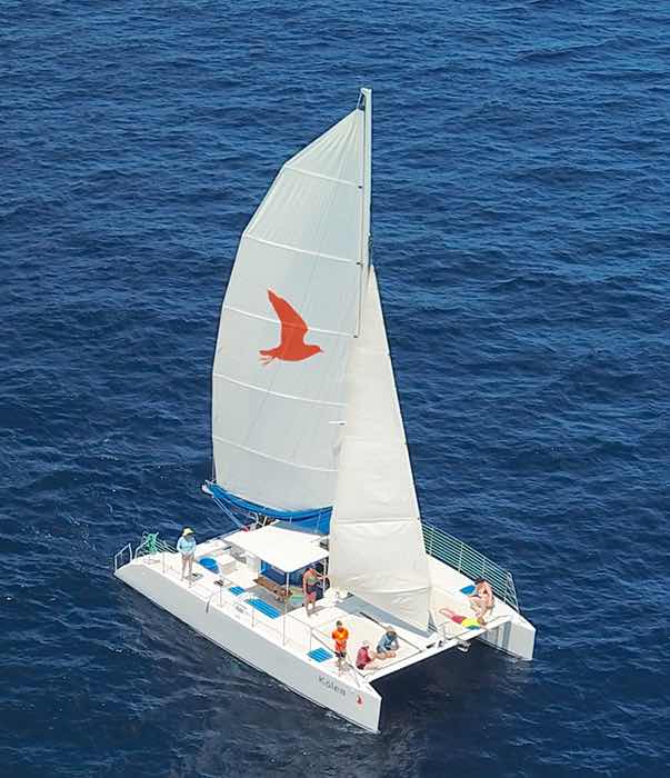 Paradise Sailing Hawai‘i photo 2