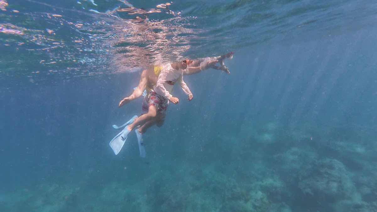 Paradise Sailing Hawai‘i photo 4