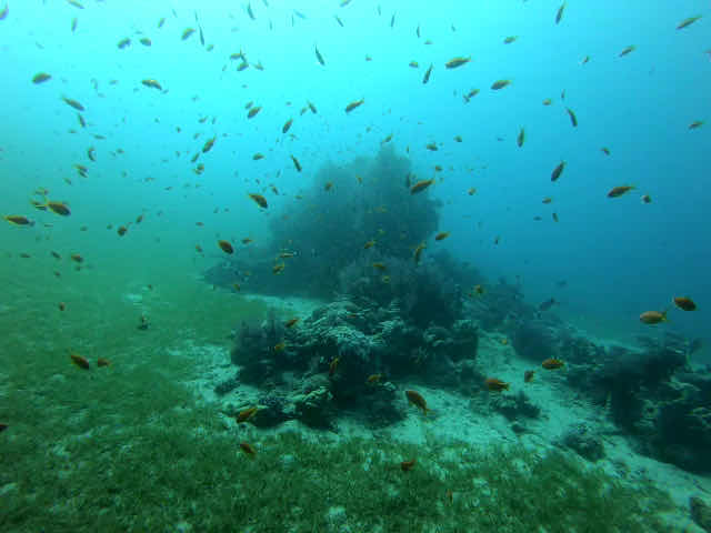 Aqaba Scuba Diving Jordan photo 2