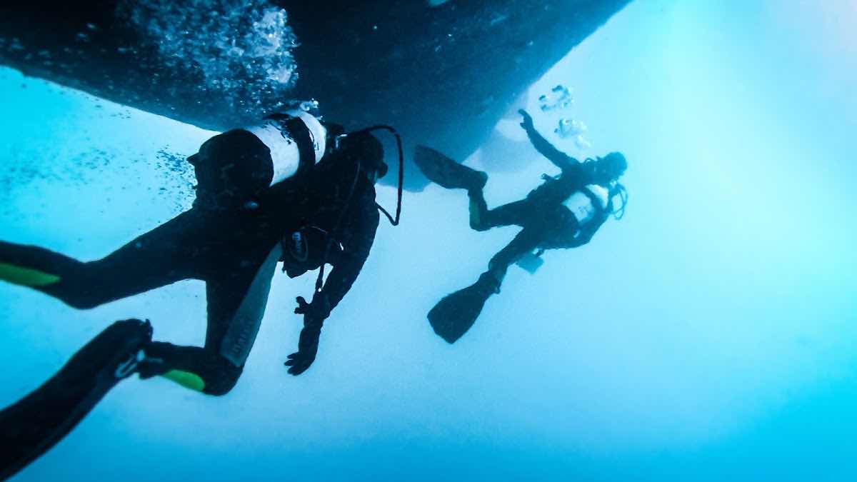 Gone Diving Vanuatu photo 7