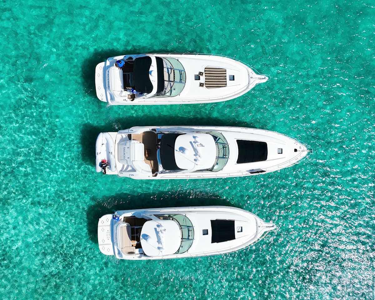Island Seaduction Watersports & Tours photo 7