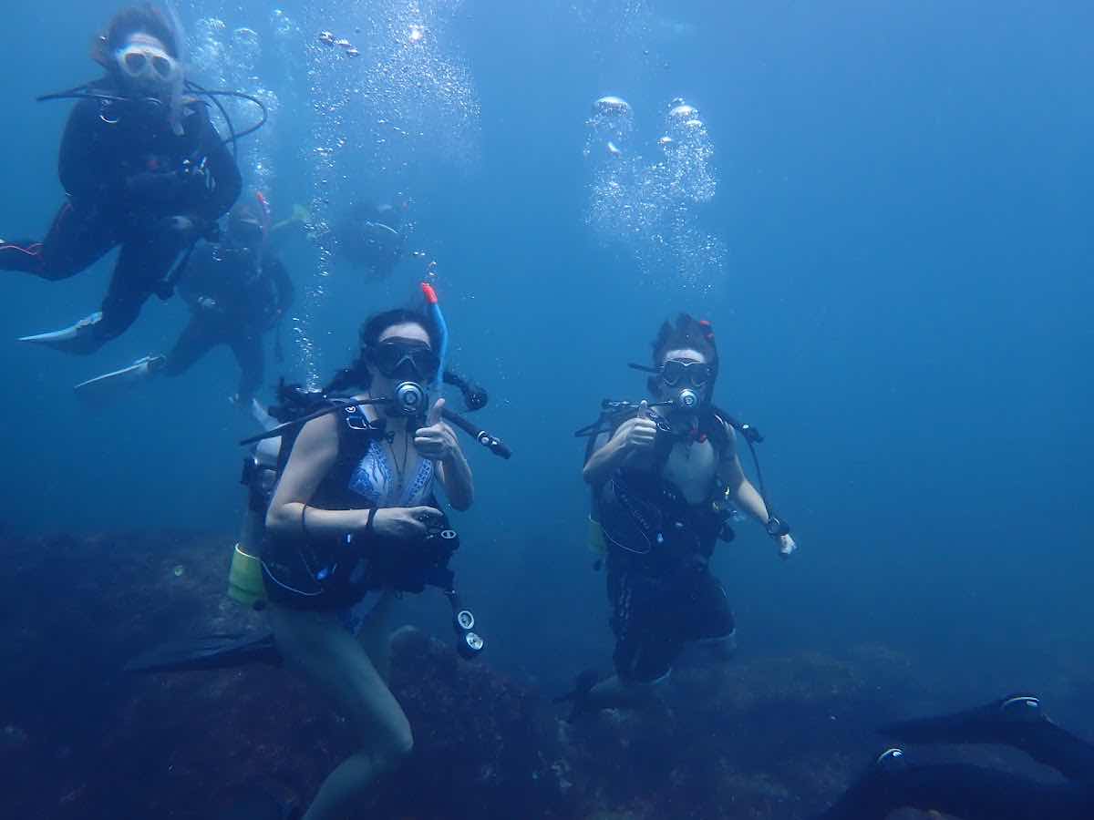 Dive Dream photo 4