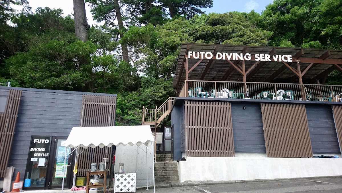 Dive Dream photo 10