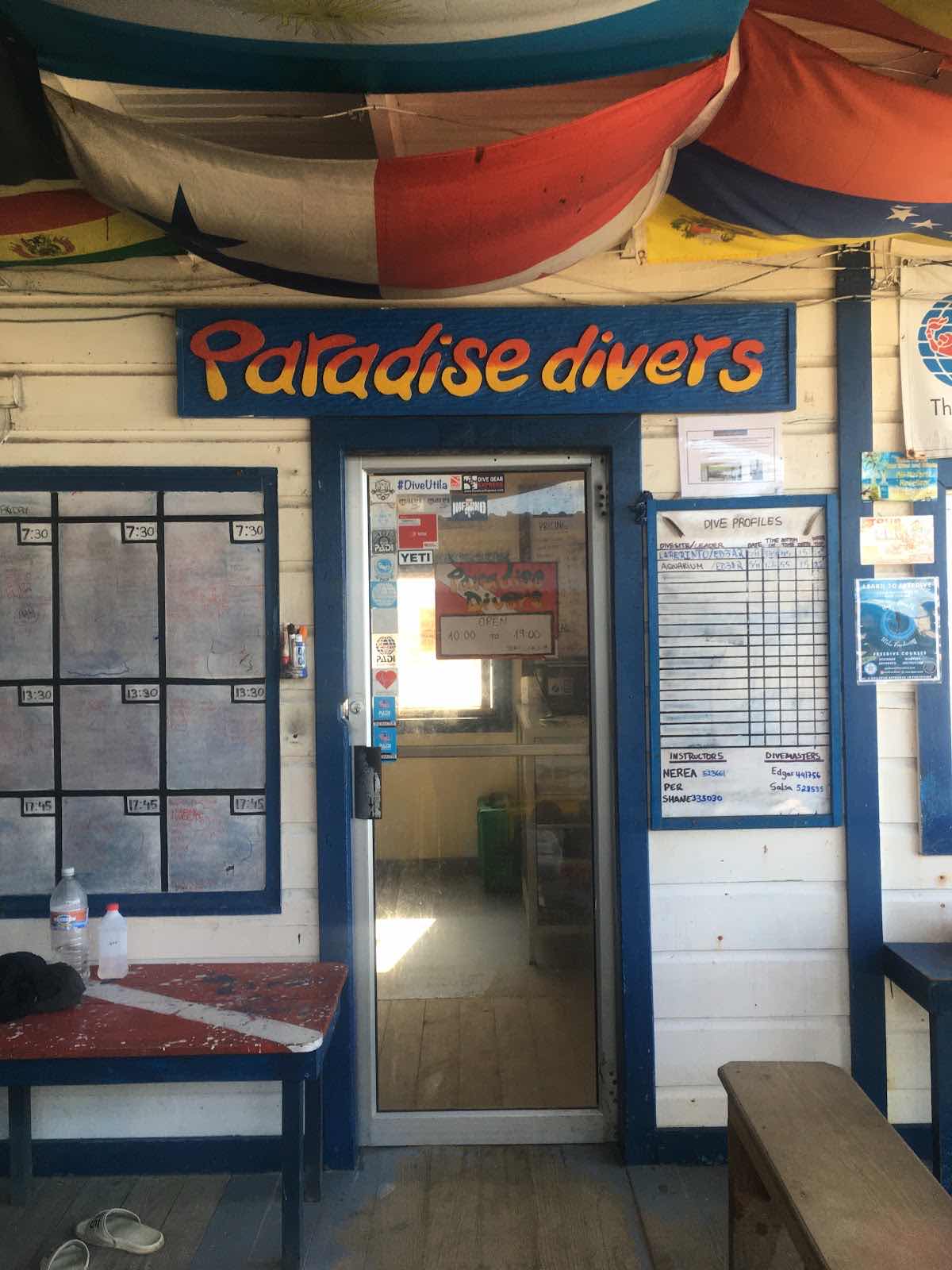Paradise Divers photo 3