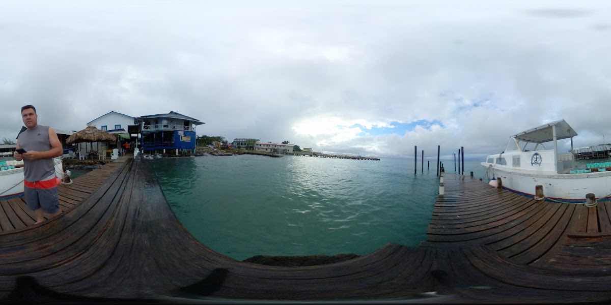 Paradise Divers photo 7