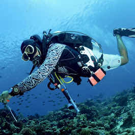 Twin Island Dive - Komodo photo 8