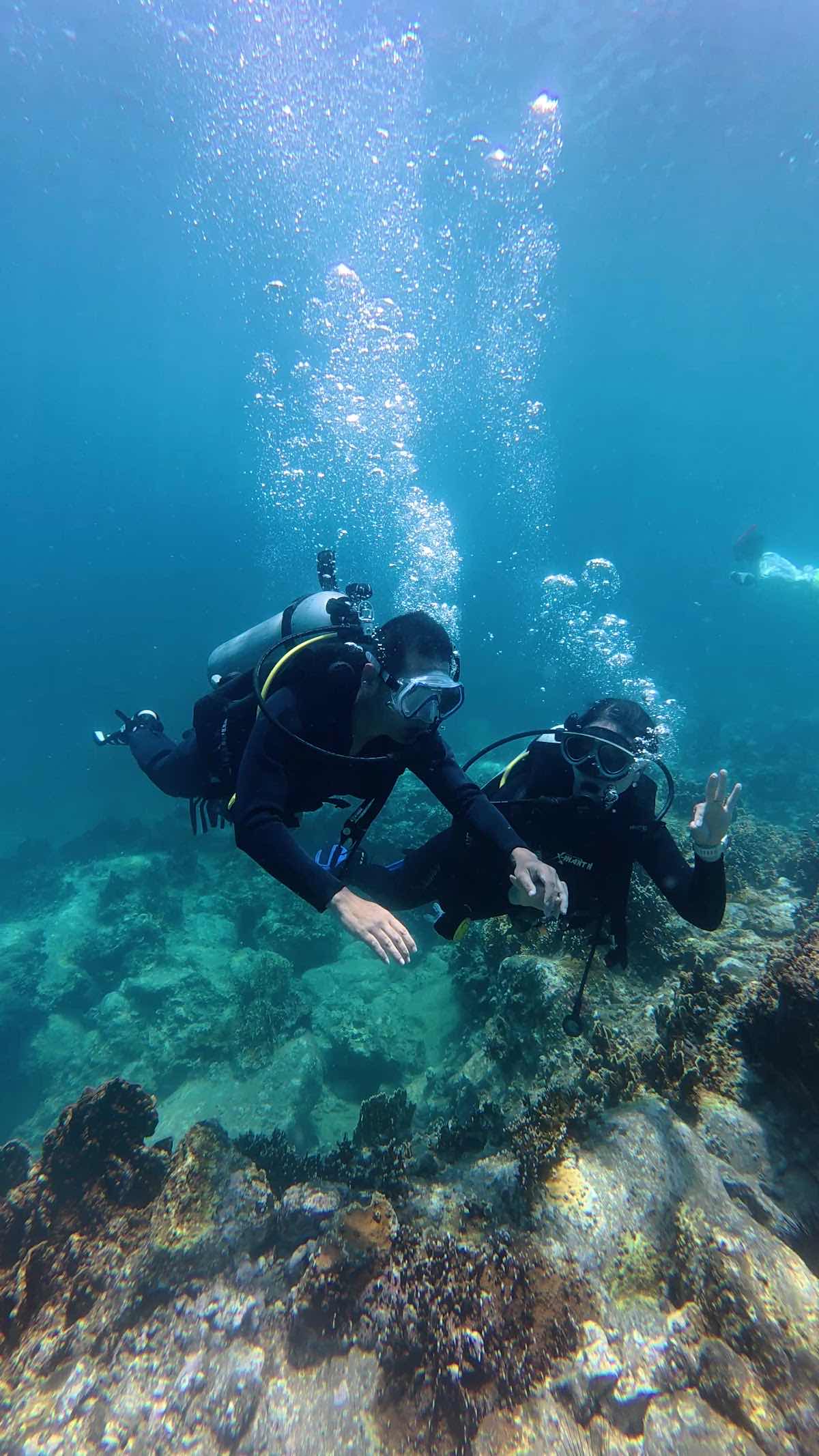 Lặn biển Nha Trang - Delight Diving photo 3