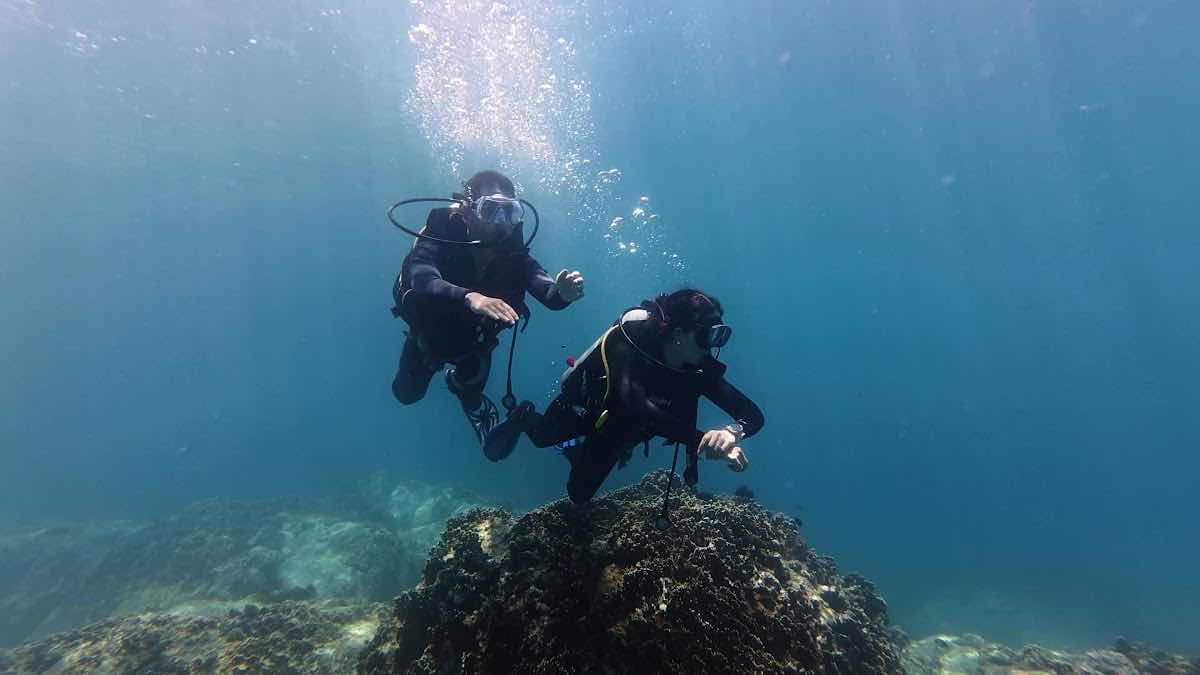 Lặn biển Nha Trang - Delight Diving photo 4