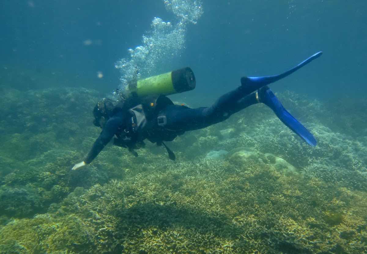 Lặn biển Nha Trang - Delight Diving photo 6