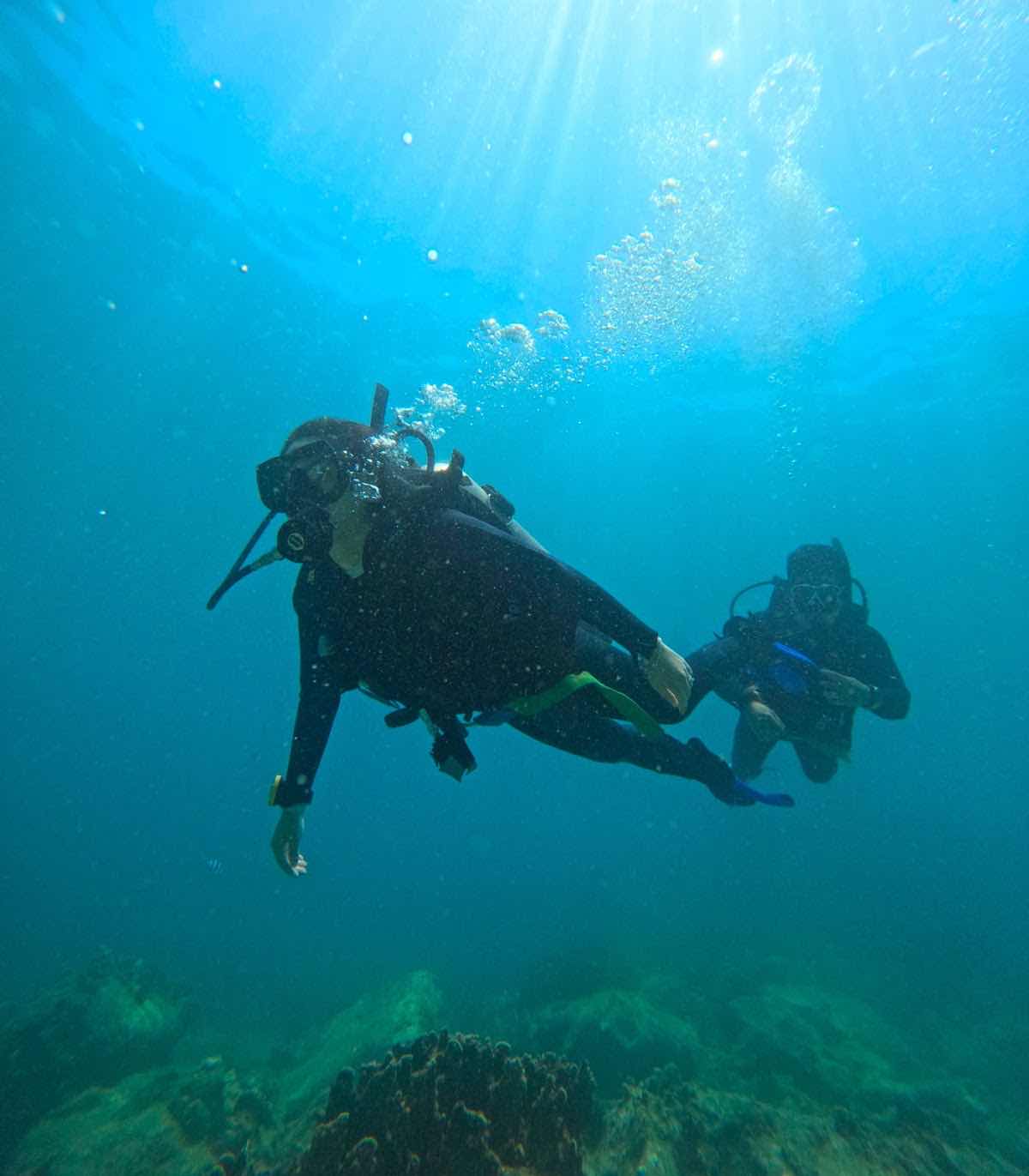 Lặn biển Nha Trang - Delight Diving photo 10