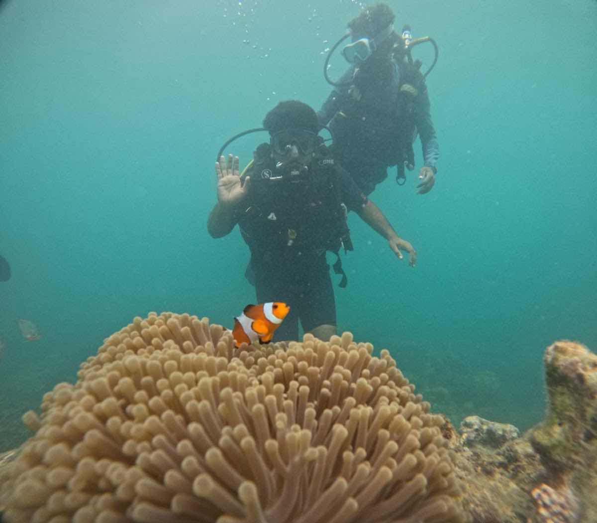 Scuba In Andaman photo 2