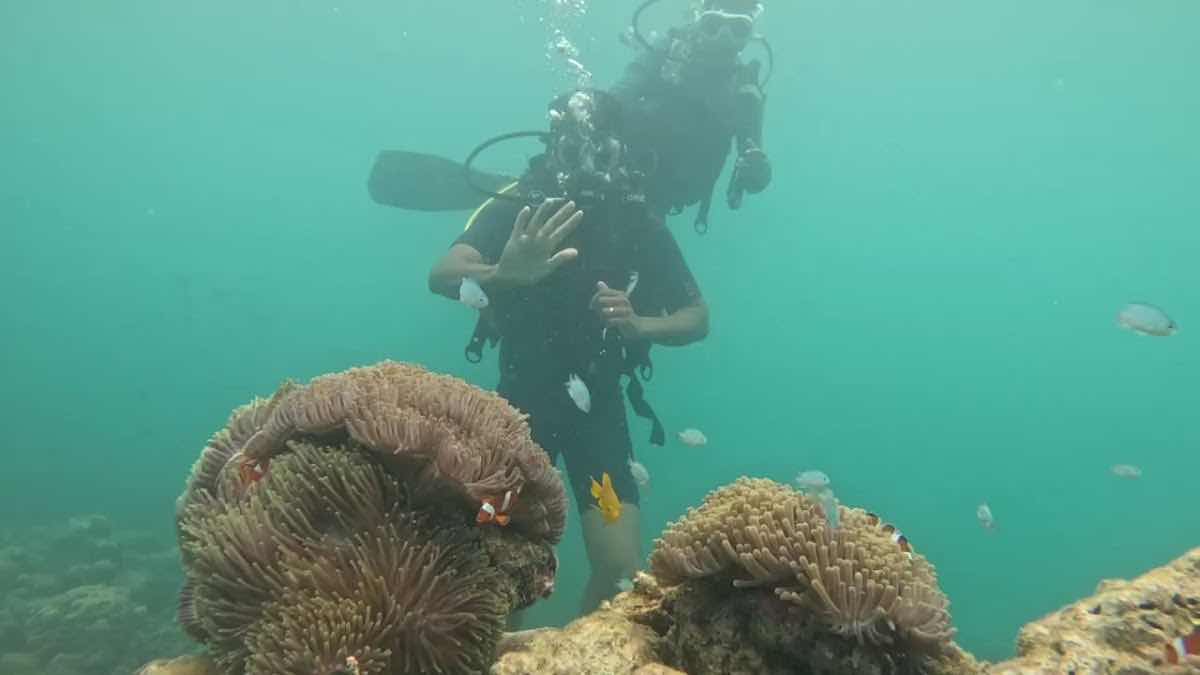 Scuba In Andaman photo 3