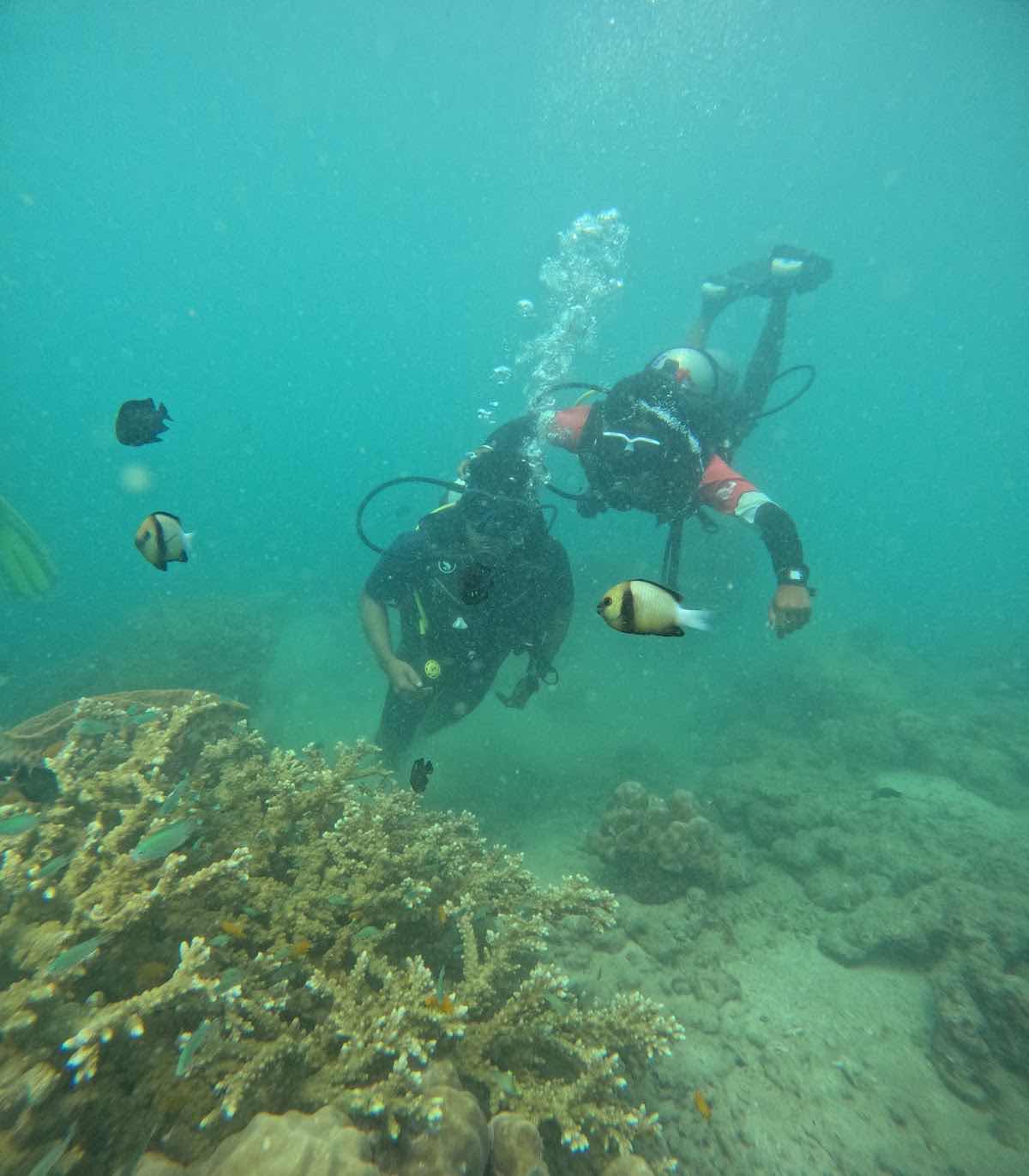 Scuba In Andaman photo 5