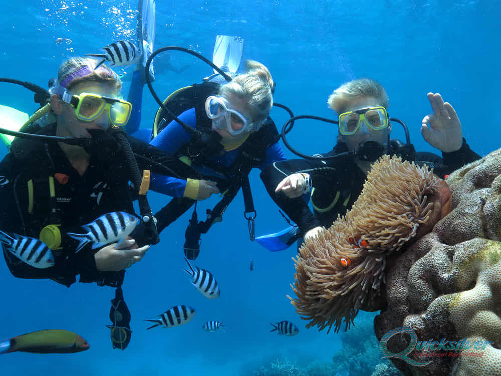 Scuba In Andaman photo 7