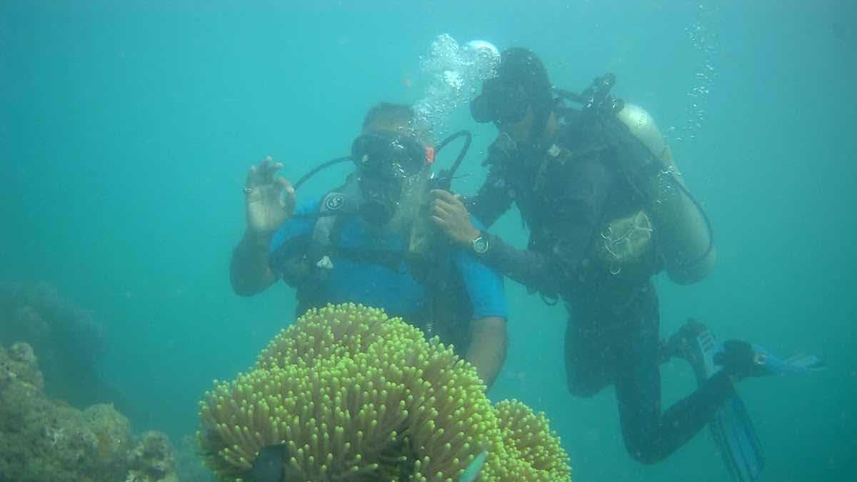 Scuba In Andaman photo 9