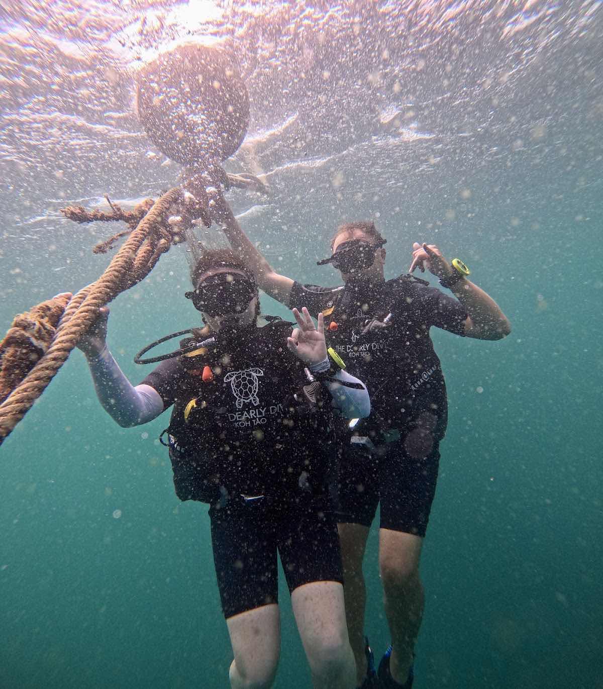The Dearly Dive Koh Tao – PADI 5 Star Dive Resort & Scuba School photo 1