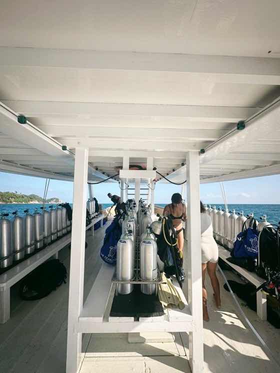 The Dearly Dive Koh Tao – PADI 5 Star Dive Resort & Scuba School photo 2