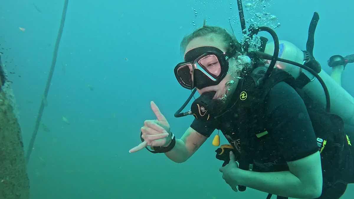 The Dearly Dive Koh Tao – PADI 5 Star Dive Resort & Scuba School photo 3
