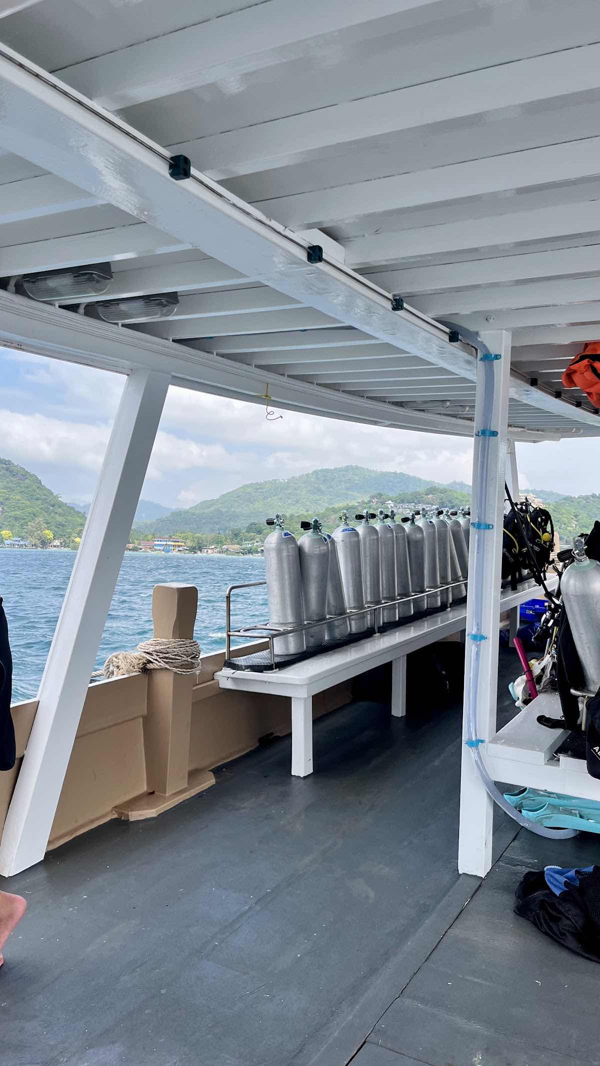 The Dearly Dive Koh Tao – PADI 5 Star Dive Resort & Scuba School photo 5