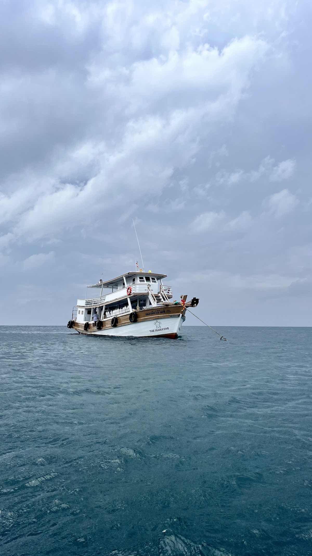 The Dearly Dive Koh Tao – PADI 5 Star Dive Resort & Scuba School photo 6